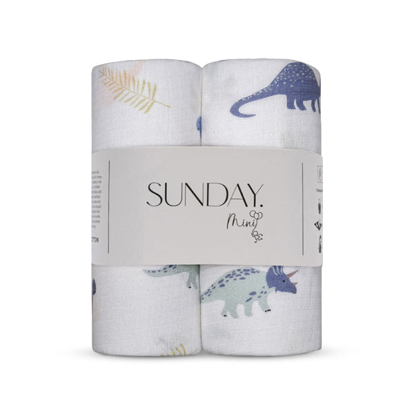 Color_ Roar & Explore