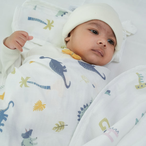 Color_ Roar & Explore